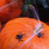 Halloween - Plast Edderkopper - 10 Stk. - Image 3