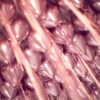 Ballon - Glossy Rosa/Guld - 30 cm - Image 2