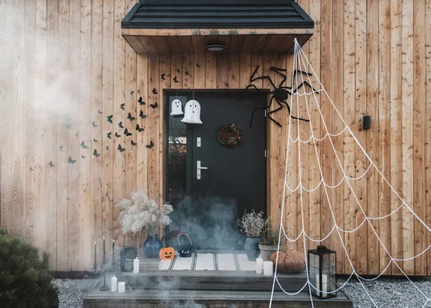 Halloween - Spindelvæv - Image 2